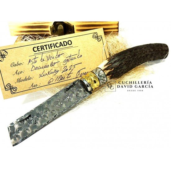 Gilberto Ferreira Luxury 2025 Damasco / Asta Venado Gilberto Ferreira Luxury 2025 Damasco / Asta Venado