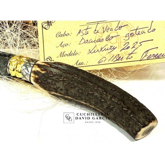 Gilberto Ferreira Luxury 2025 Damasco / Asta Venado Gilberto Ferreira Luxury 2025 Damasco / Asta Venado