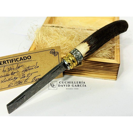 Gilberto Ferreira Luxury 2025 Damasco / Asta Venado Gilberto Ferreira Luxury 2025 Damasco / Asta Venado