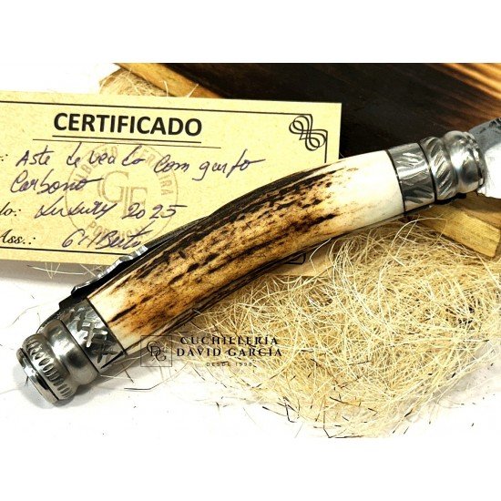 Gilberto Ferreira Luxury 2025 / Asta Venado con Tenedor Gilberto Ferreira Luxury 2025 / Asta Venado con Tenedor