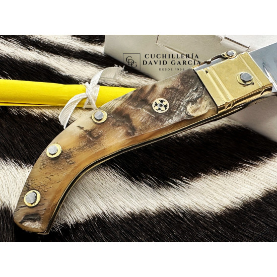 Julián Panadero Ripollesa  Carnero Bruto