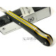 Navaja Miguel Nieto Companion 098-G10 Mango G10