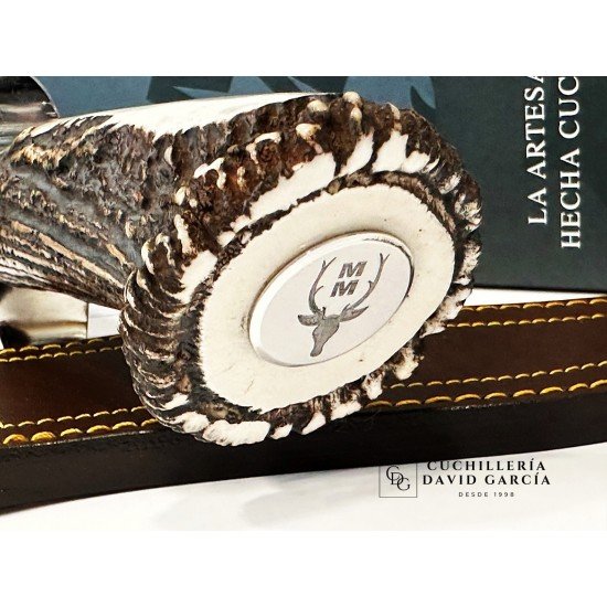 Muela Lobo-23S Asta de Ciervo con Roseta