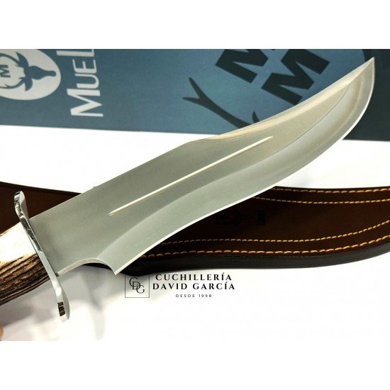 Muela Lobo-23S Asta de Ciervo con Roseta