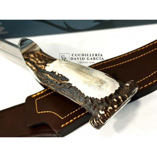 Muela Lobo-23S Asta de Ciervo con Roseta