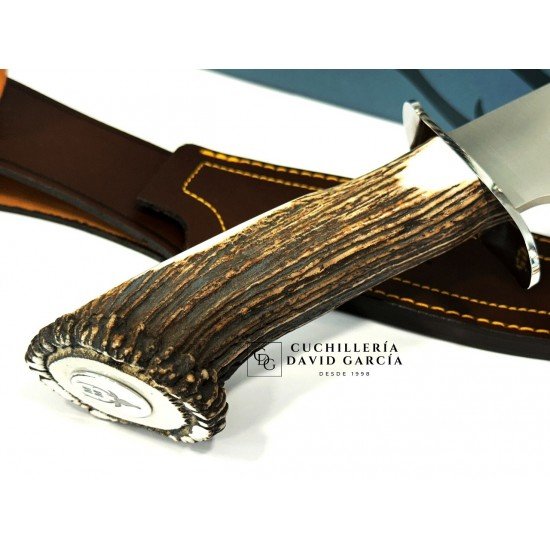 Muela Lobo-23S Asta de Ciervo con Roseta