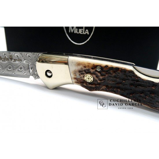 Muela BX-8A.DAM Acero Damasco Asta de Ciervo Muela BX-8A.DAM Acero Damasco Asta de Ciervo