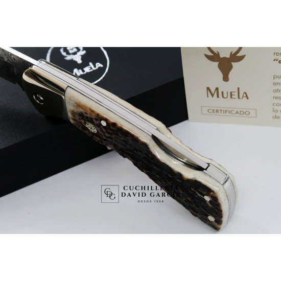 Muela BX-8A.DAM Acero Damasco Asta de Ciervo Muela BX-8A.DAM Acero Damasco Asta de Ciervo