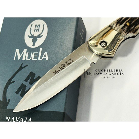Muela BX-8A Asta de Ciervo Muela BX-8A Asta de Ciervo