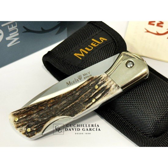 Muela BX-8A Asta de Ciervo Muela BX-8A Asta de Ciervo