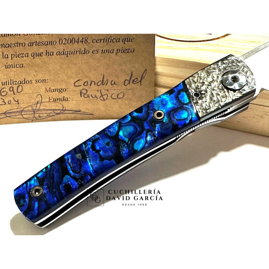 RGC  Martina Coral azul del Pacifico / Virola acero Picado  N690