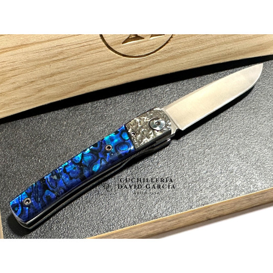 RGC  Martina Coral azul del Pacifico / Virola acero Picado  N690