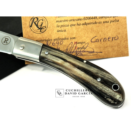 RGC Ramona Asta Carnero pulido - Böhler N690