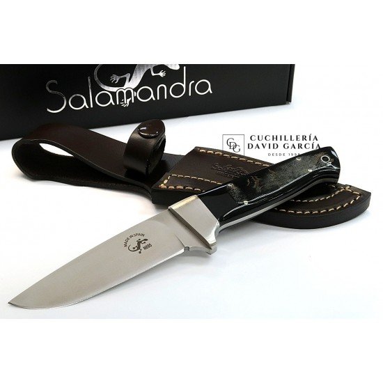 Cuchillo Salamandra Nestor   Asta de Búfalo Acero N695 407753