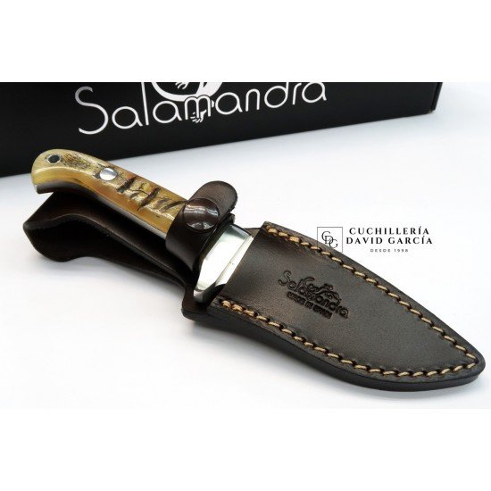 Cuchillo Salamandra  Asta Carnero Acero Böhler N695