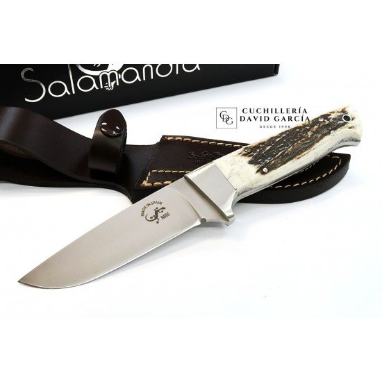 Cuchillo Salamandra Nestor Asta de Ciervo Acero N695 407063 Cuchillo Salamandra Nestor Asta de Ciervo Acero N695 407063
