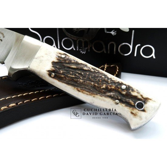 Cuchillo Salamandra Nestor Asta de Ciervo Acero N695 407063