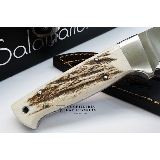 Cuchillo Salamandra Nestor Asta de Ciervo Acero N695 407063 Cuchillo Salamandra Nestor Asta de Ciervo Acero N695 407063