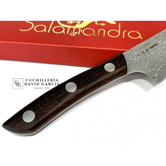 Cuchillo Salamandra Cocina Altea VG-1O 67 Capas Madera Palosanto del Rio Cuchillo Salamandra Cocina Altea VG-1O 67 Capas Madera Palosanto del Rio