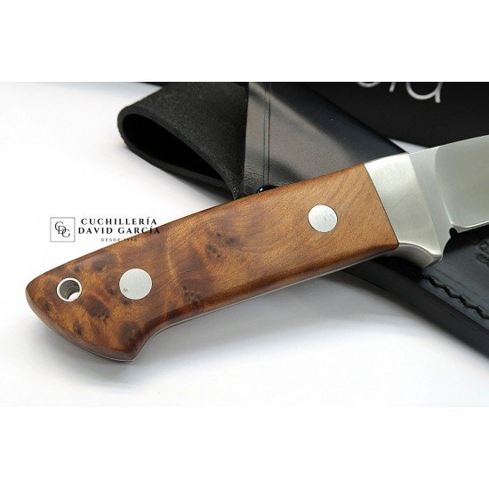 Cuchillo Salamandra tipo Loveless Madera de Tuya Acero N695