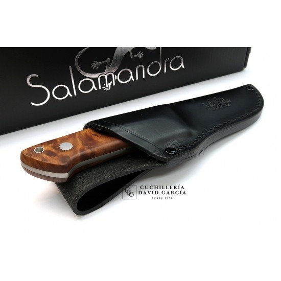 Cuchillo Salamandra tipo Loveless Madera de Tuya Acero N695