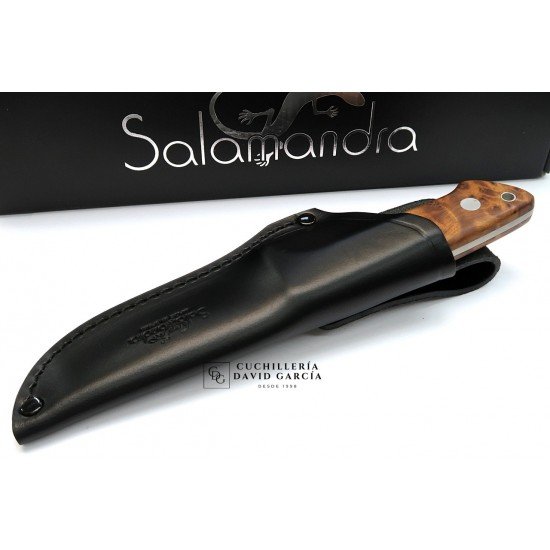 Cuchillo Salamandra tipo Loveless Madera de Tuya Acero N695