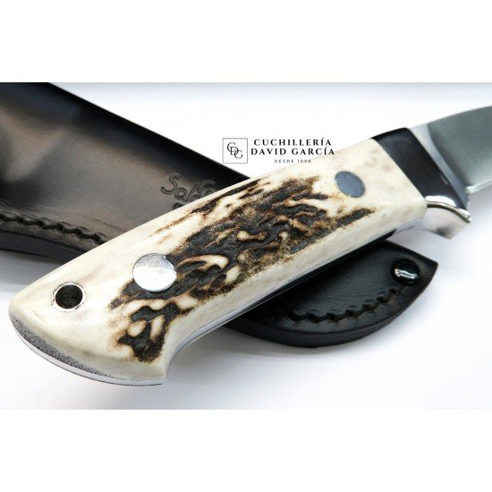 Cuchillo Salamandra tipo Loveless Asta de Ciervo Acero N695 Cuchillo Salamandra tipo Loveless Asta de Ciervo Acero N695