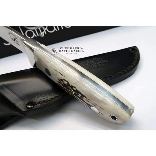 Cuchillo Salamandra tipo Loveless Asta de Ciervo Acero N695 Cuchillo Salamandra tipo Loveless Asta de Ciervo Acero N695