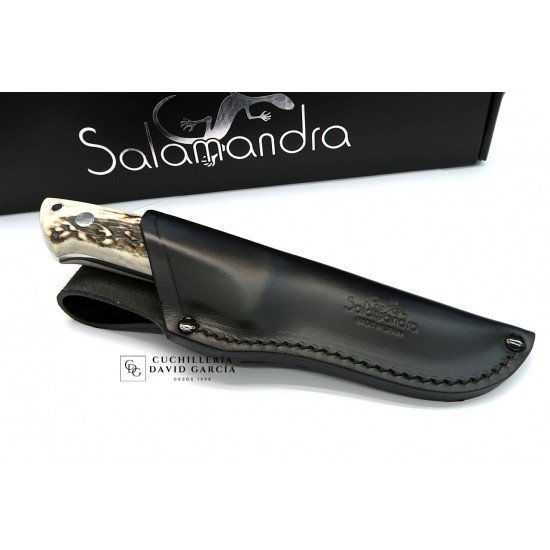 Cuchillo Salamandra tipo Loveless Asta de Ciervo Acero N695 Cuchillo Salamandra tipo Loveless Asta de Ciervo Acero N695