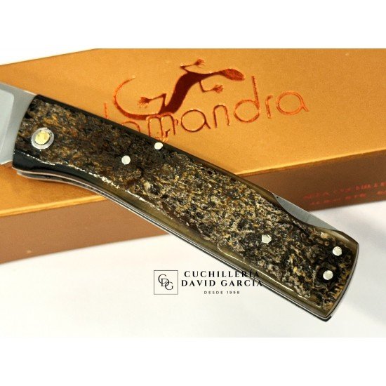 Salamandra Aura Asta de Buey Bohler N690 