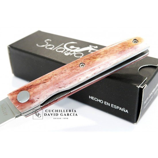 Salamandra Artemis Hueso Camello 230622 Salamandra Artemis Hueso Camello 230622