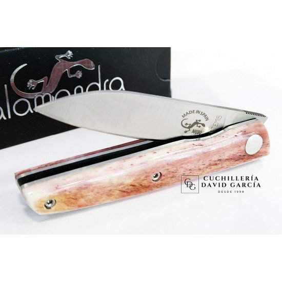 Salamandra Artemis Hueso Camello 230622