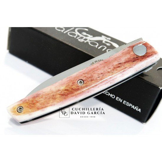 Salamandra Artemis Hueso Camello 230622 Salamandra Artemis Hueso Camello 230622