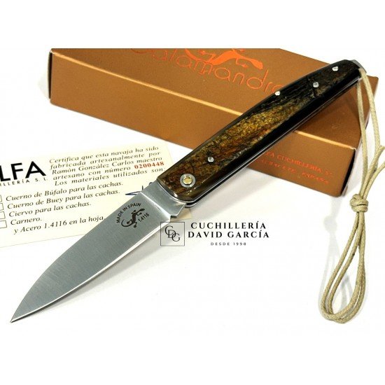 Salamandra  Asta de Buey 100472