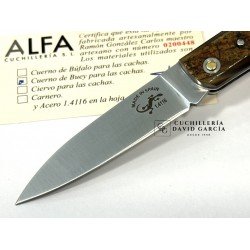 Salamandra  Asta de Buey 100472