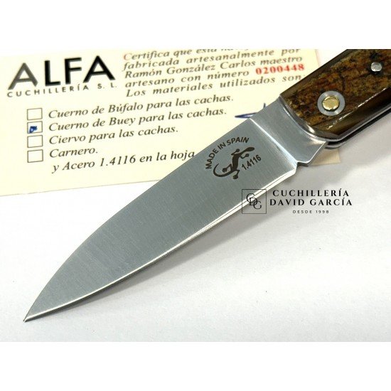 Salamandra  Asta de Buey 100472