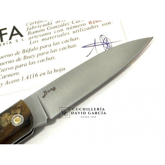 Salamandra  Asta de Buey 100472