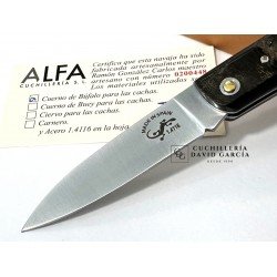 Salamandra  Asta de Búfalo 100751