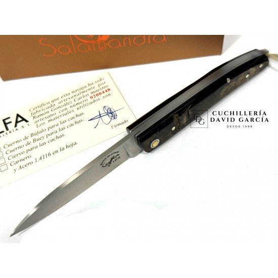 Salamandra  Asta de Búfalo 100751