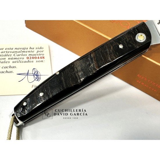 Salamandra  Asta de Búfalo 100751