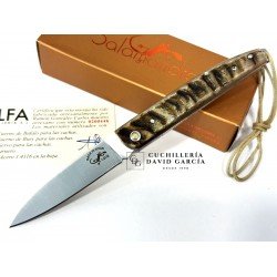 Salamandra  Asta de Carnero 100425