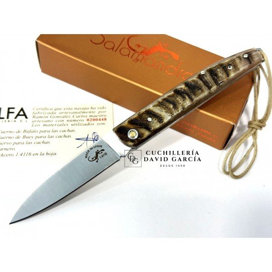 Salamandra  Asta de Carnero 100425