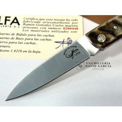 Salamandra  Asta de Carnero 100425