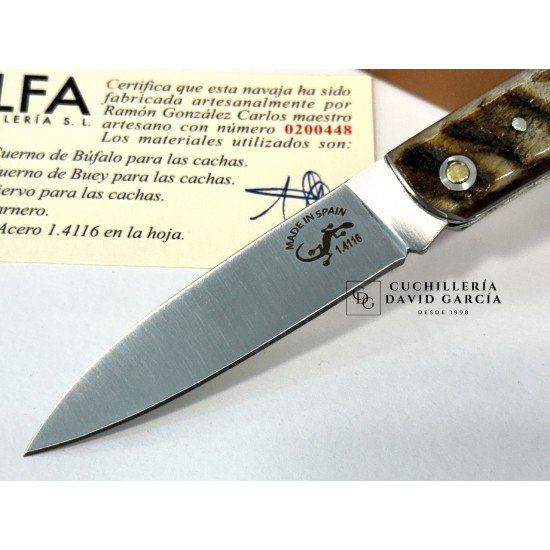 Salamandra  Asta de Carnero 100425