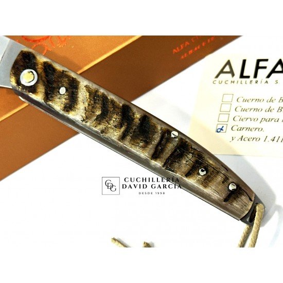 Salamandra  Asta de Carnero 100425