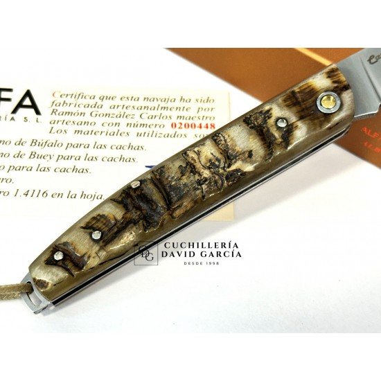 Salamandra  Asta de Carnero 100425