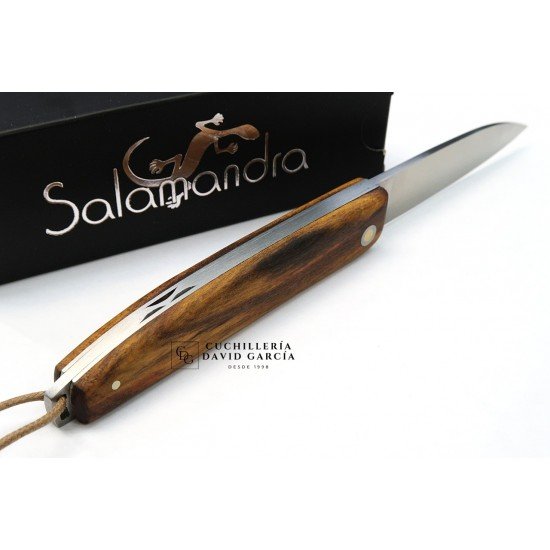 Pistachio Wood Salamander Knife