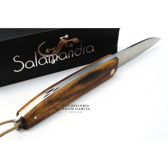 Salamandra Madera de Pistacho Salamandra Madera de Pistacho