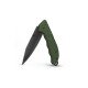 Victorinox Evoke BSH Alox Verde Oliva  09425.DS24