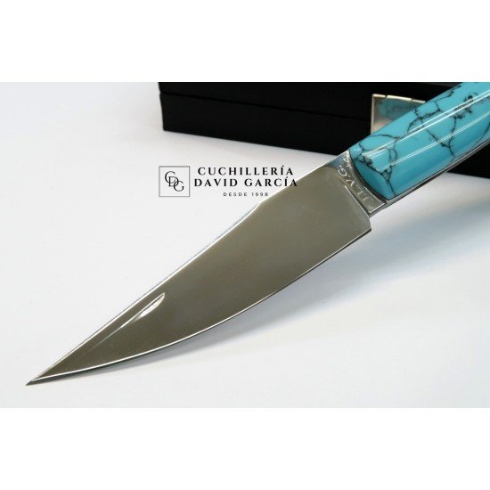 Juan Luis Vergara Piston Turquesa Juan Luis Vergara Piston Turquesa